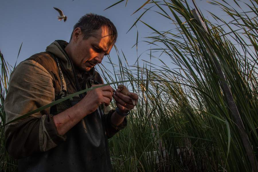 Мужчина на природе.