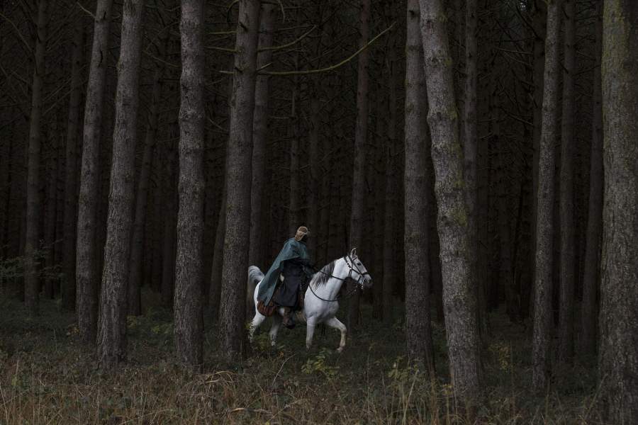 Мужчина на коне в лесу.