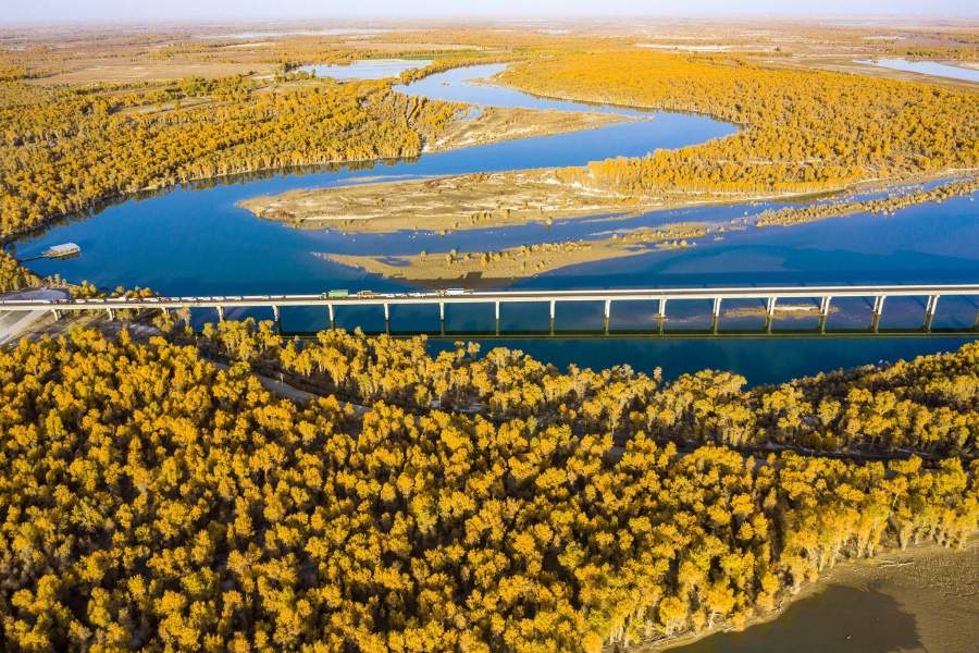 Вид с дрона 