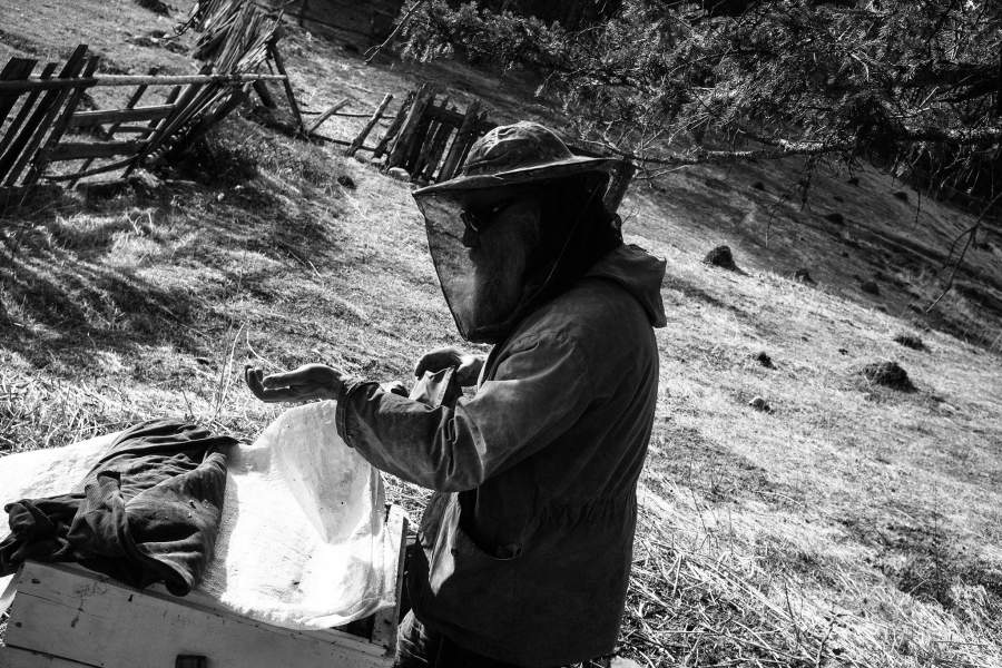 Валера собирает мёд на своей мини-пасеке