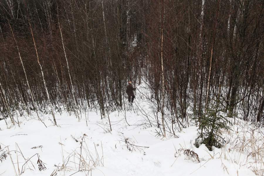 Юрий на прогулке в лесу