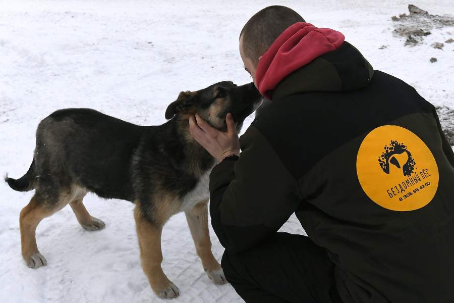 сотрудник с собаками