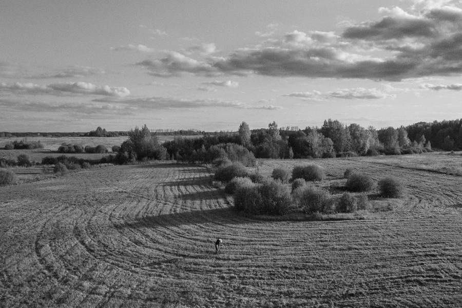 Михаил Богданов, командир поискового отряда «Пионер», с металлоискателем и щупом ищет в поле останки без вести пропавших солдат на Калининском фронте, р-н Зубцова