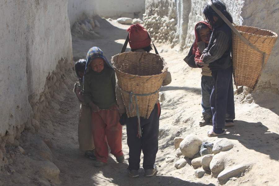 На улице Ло Монтанга. Утром дети с корзинами собираются в горы собирать хворост и кизяк. Здесь нет детских садиков, дети постарше приглядывают за детьми помладше, и как только ребёнок уже в состоянии хоть что-то делать, его привлекают к общественным работам. Родителям некогда заниматься хворостом, это забота младшего поколения