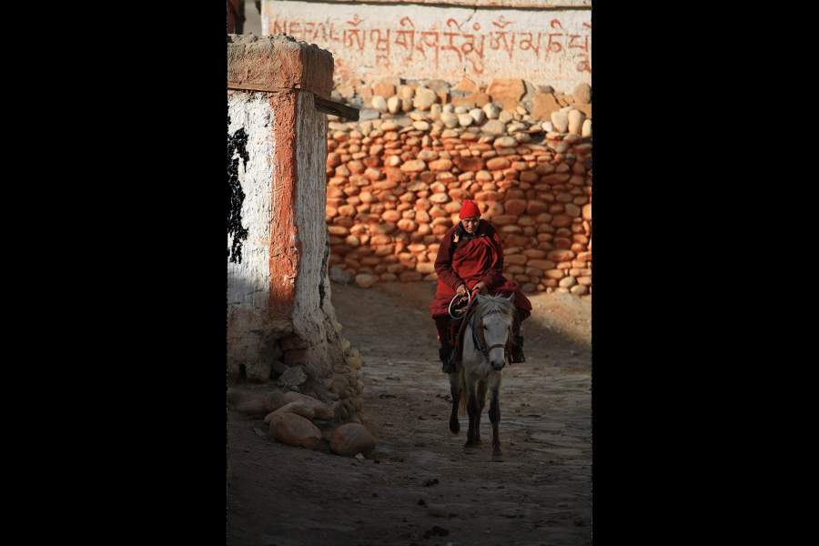 Монахи всегда были привилегированной кастой и никогда не бедствовали. Лошадь у ламы — это роскошь в таких местах, её как минимум кормить надо!  А кормить непросто, когда даже люди голодают!