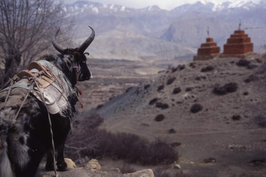 Як смотрит в долину, окружающую древний город. Вечереет и кажется, он точно так же, как и местные монахи размышляет о бренности бытия