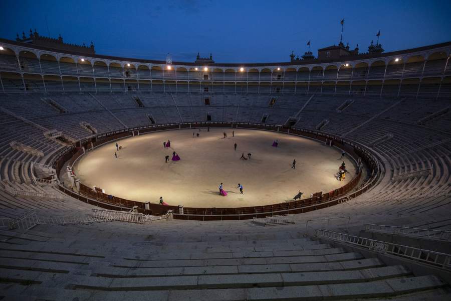 Общий вид на арену