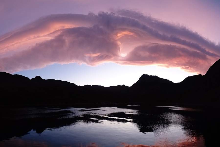 работы международного конкурса имени Джеймса Френсиса Харли