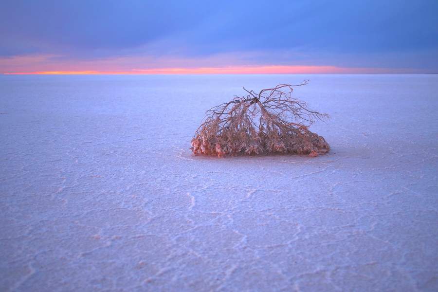 работы международного конкурса имени Джеймса Френсиса Харли