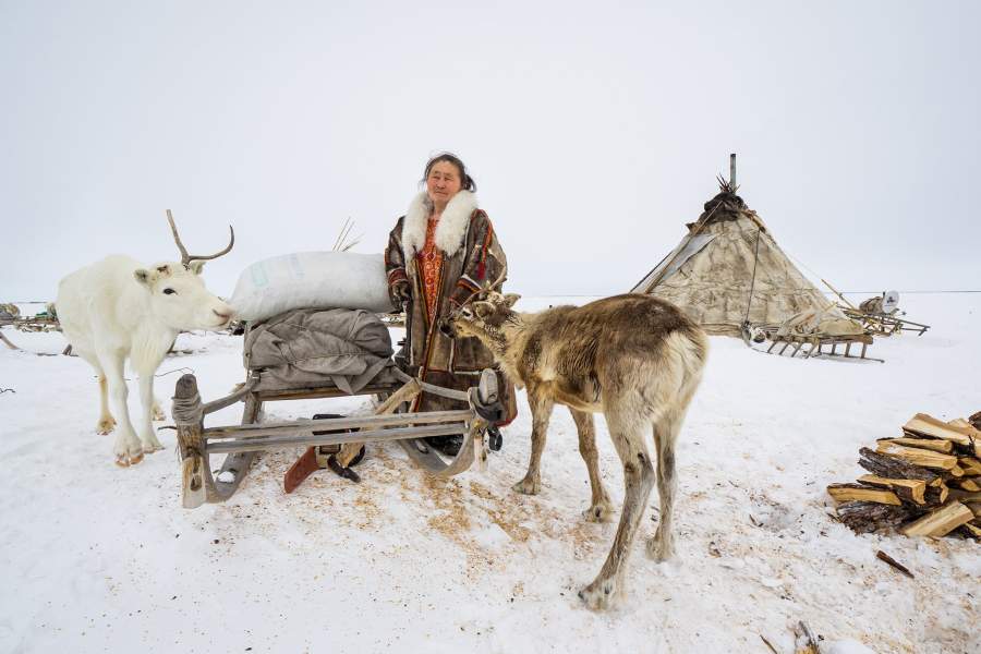 работы международного конкурса имени Джеймса Френсиса Харли