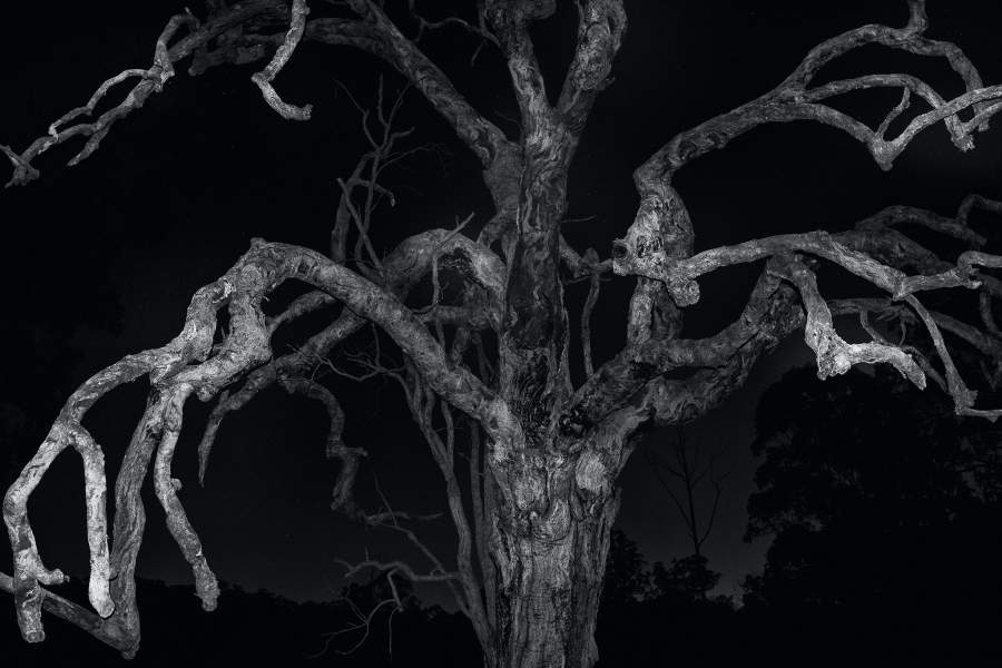 работы международного конкурса имени Джеймса Френсиса Харли