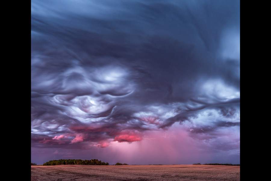 работы международного конкурса имени Джеймса Френсиса Харли