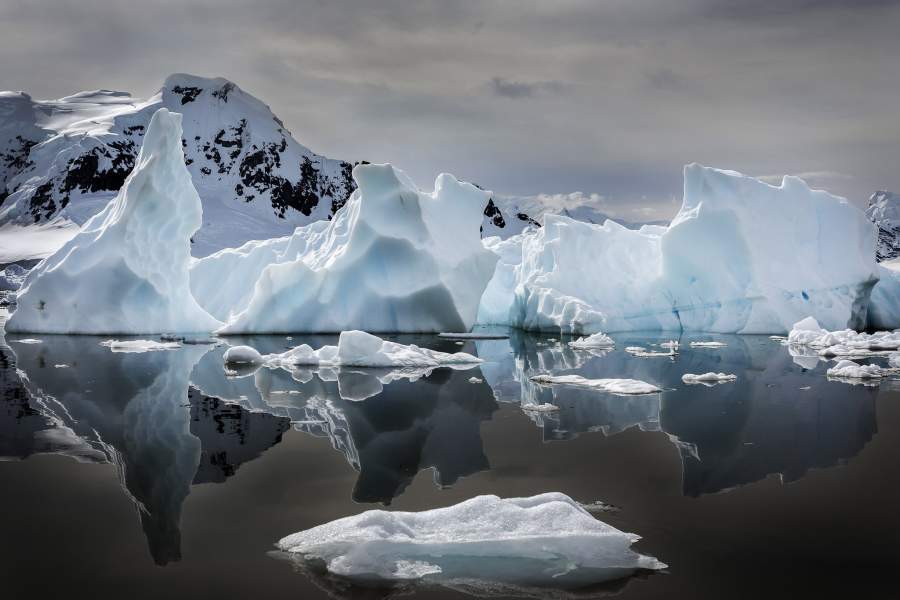 работы международного конкурса имени Джеймса Френсиса Харли