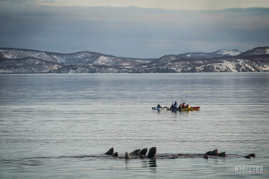 Камчатка, вид