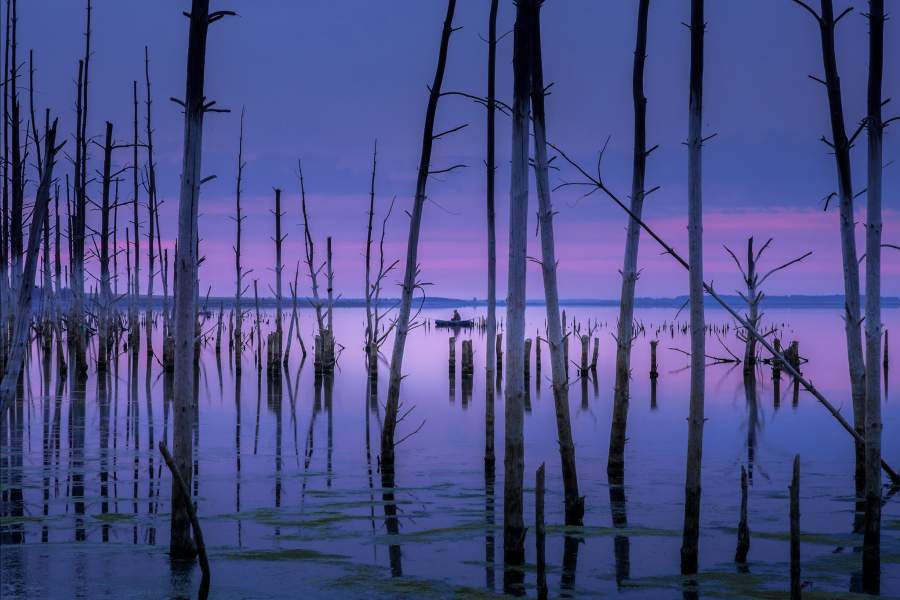 Этюд с рыбаком