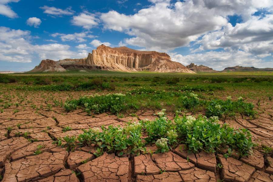 Конец сезона дождей