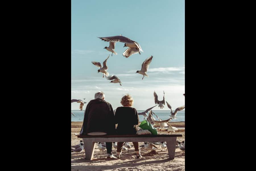 Созерцание природы