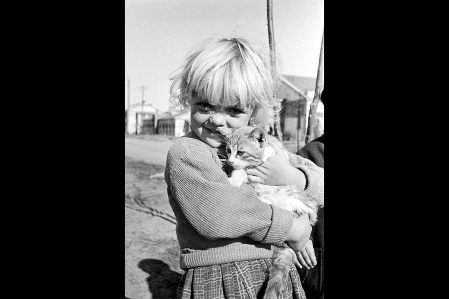 Оставшаяся без крова. Июль 1941 года. Подмосковье