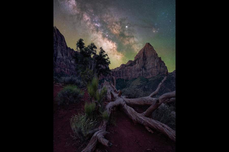 работа фотографа