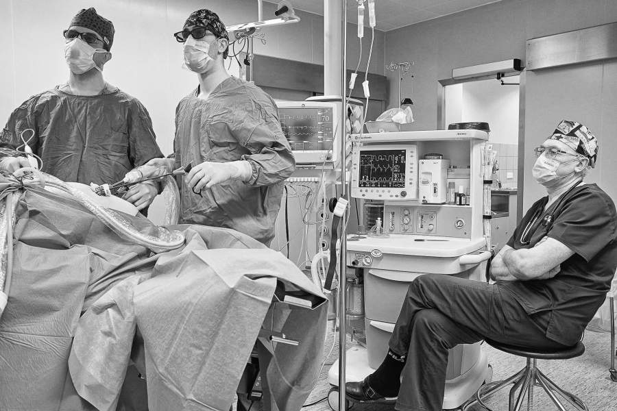 НМИЦ онкологии им. Н.Н. Блохина