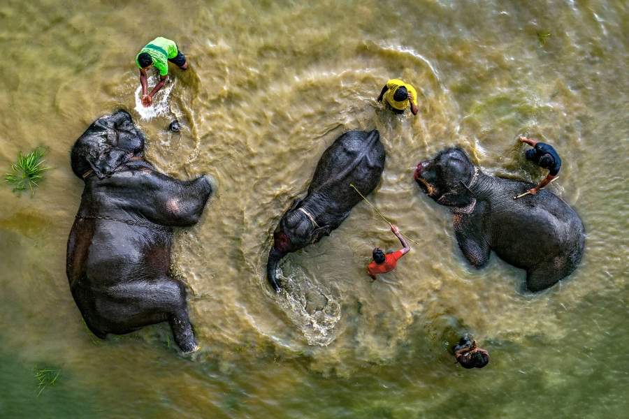Пора купаться