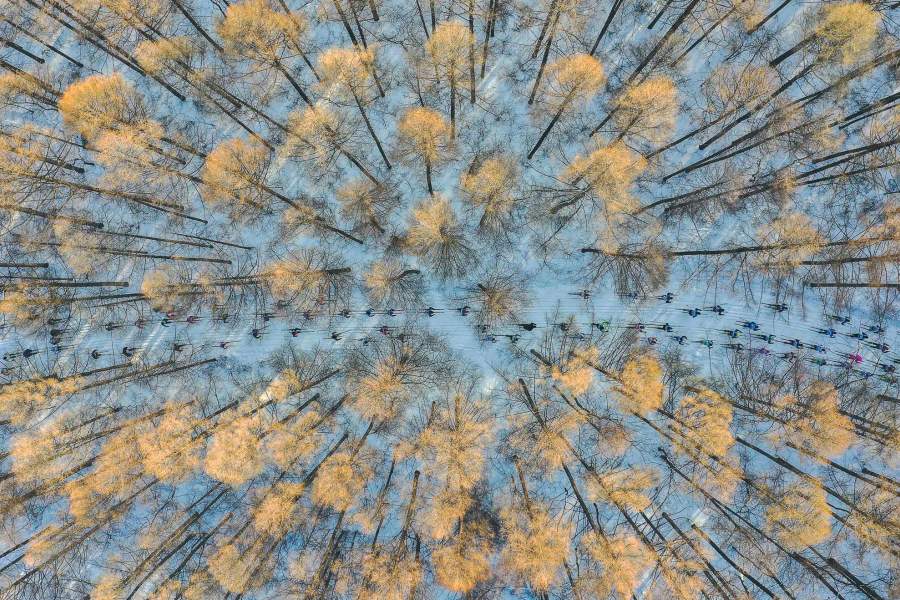 На лыжах в весну