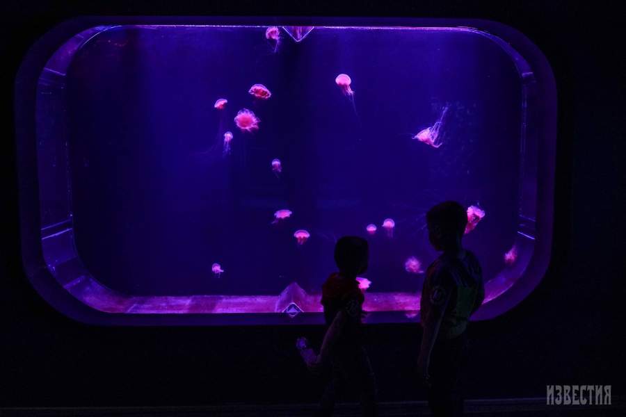 океанариум