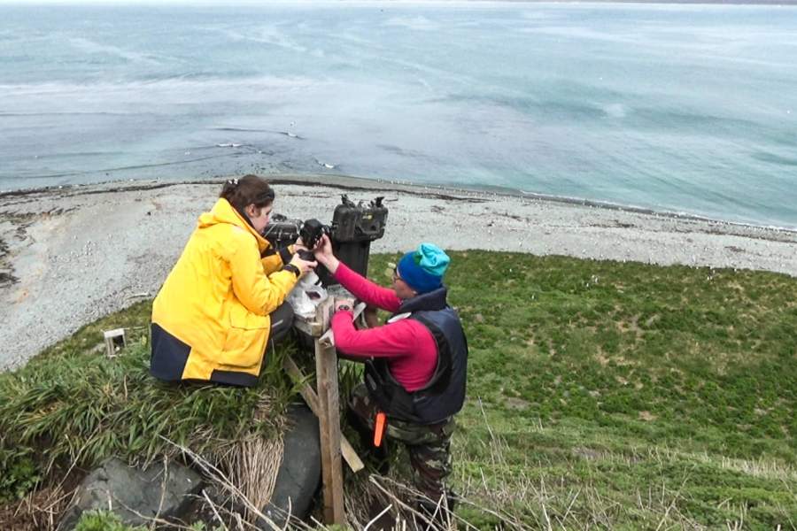 фотоловушка