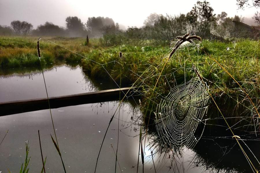 На рассвете