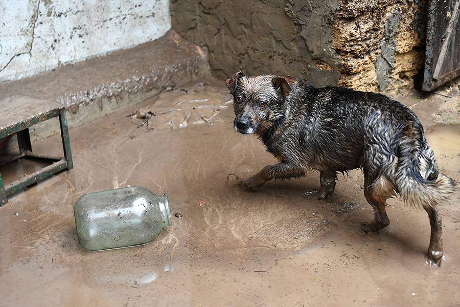 Последствия схода селя в Бахчисарайском районе