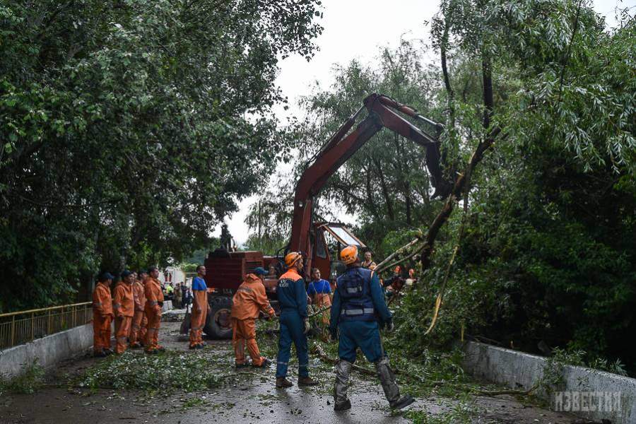 уборка упавших деревьев