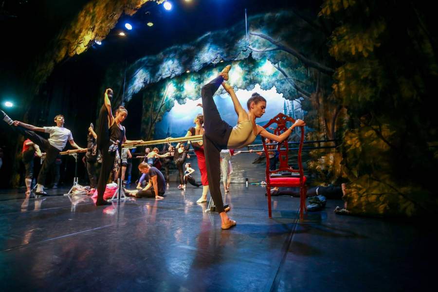 тренирвока