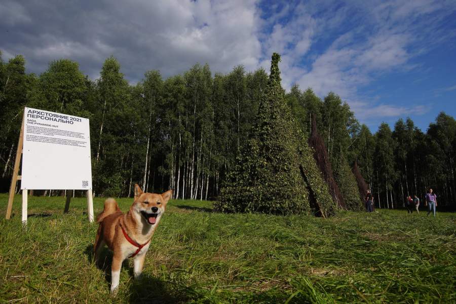 Фестиваль ландшафтных объектов «Архстояние» в арт-парке «Никола-Ленивец»