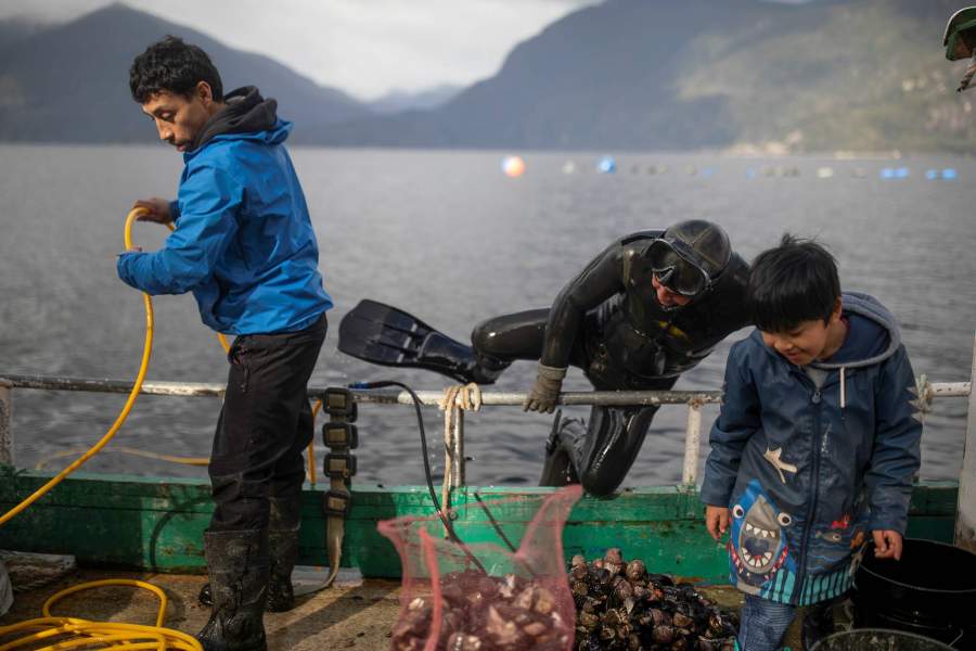 Жизнь мальчика