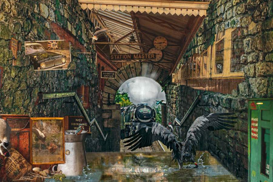 Bird Photographer of the Year 2021