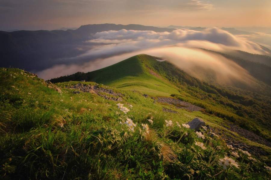 Wiki Loves Earth 2021