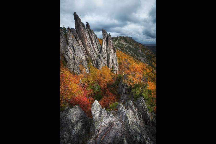 Wiki Loves Earth 2021