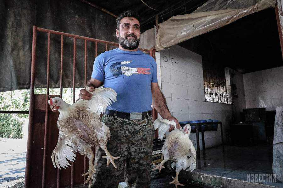 Сирия, Латакия