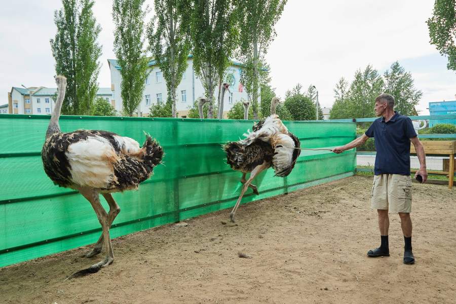 Этот городок не похож на большинство государственных российских диспансеров. Здесь повсюду яркие граффити, расписанные студентами-художниками здания, пёстрые клумбы со скульптурами и вольеры с животными. На территории разводят страусов, коз и лошадей – для детей проводят сеансы иппотерапии