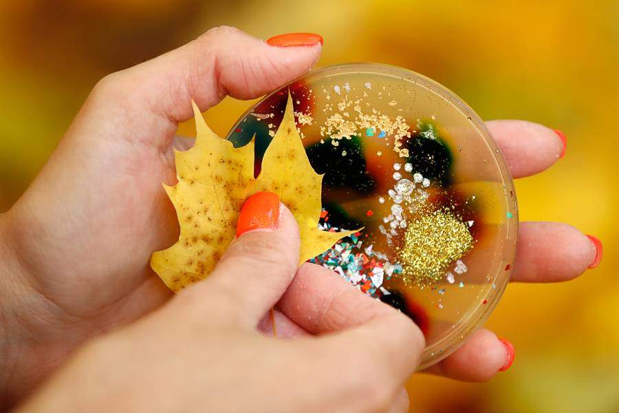 Картины из плесени