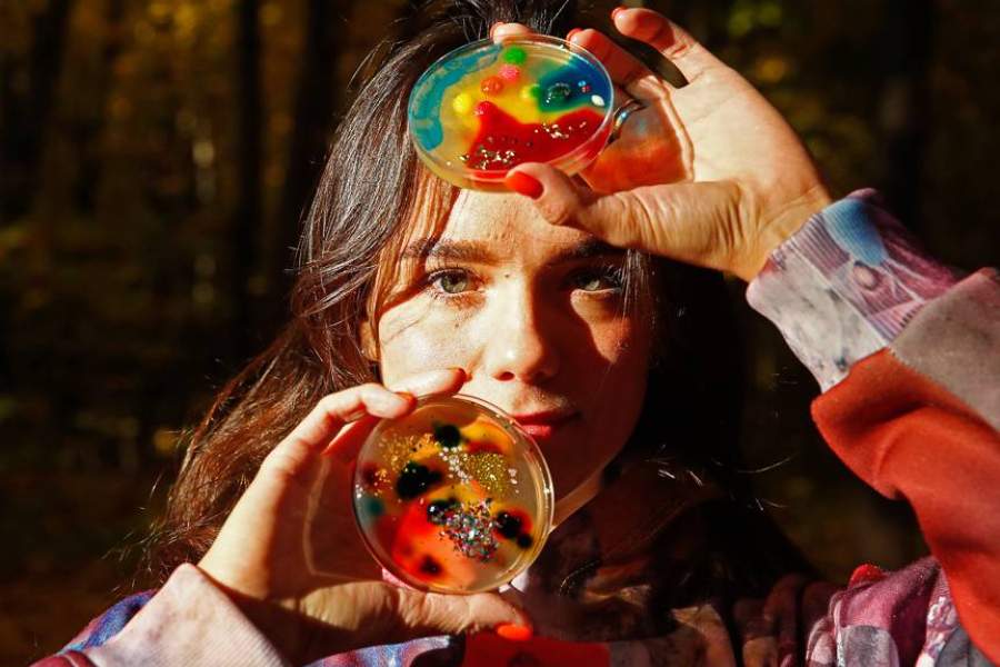 Картины из плесени