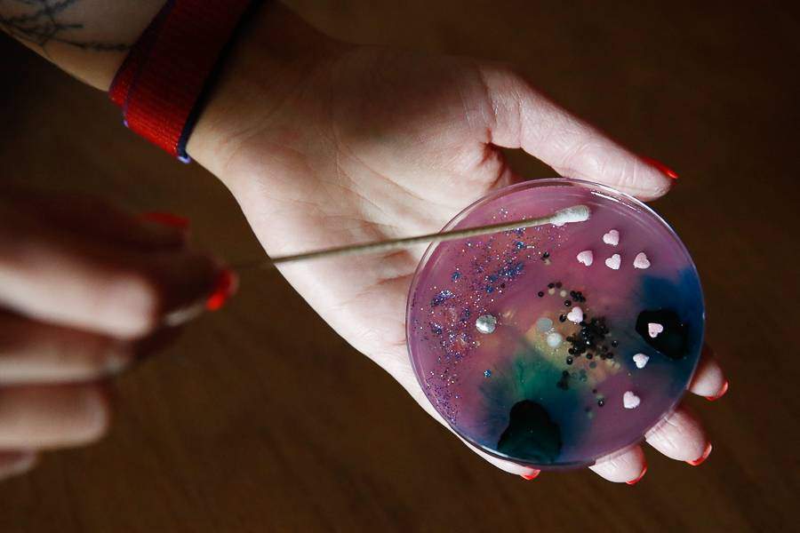 Картины из плесени