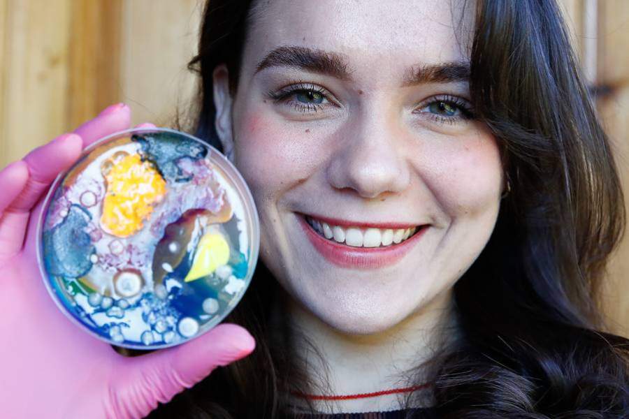 Картины из плесени