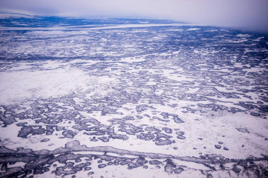 Мировая столица полярных медведей - городок Черчилл