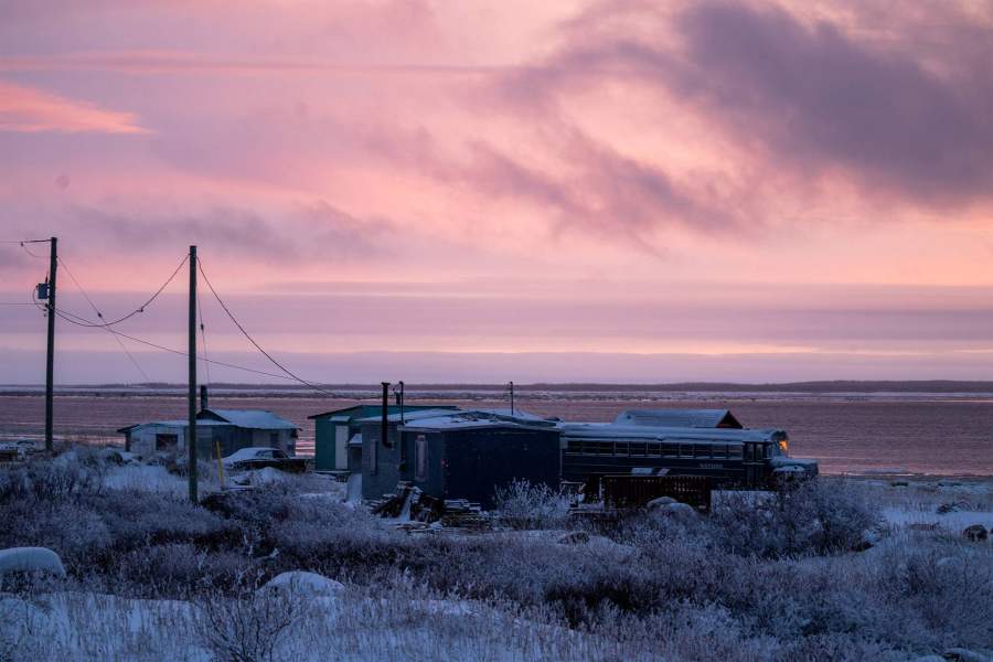 Мировая столица полярных медведей - городок Черчилл