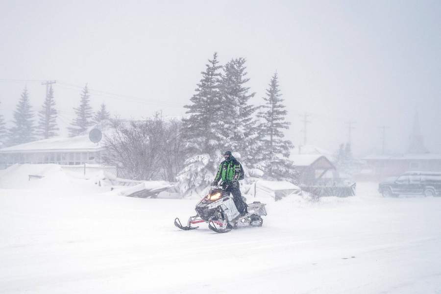 Мировая столица полярных медведей - городок Черчилл