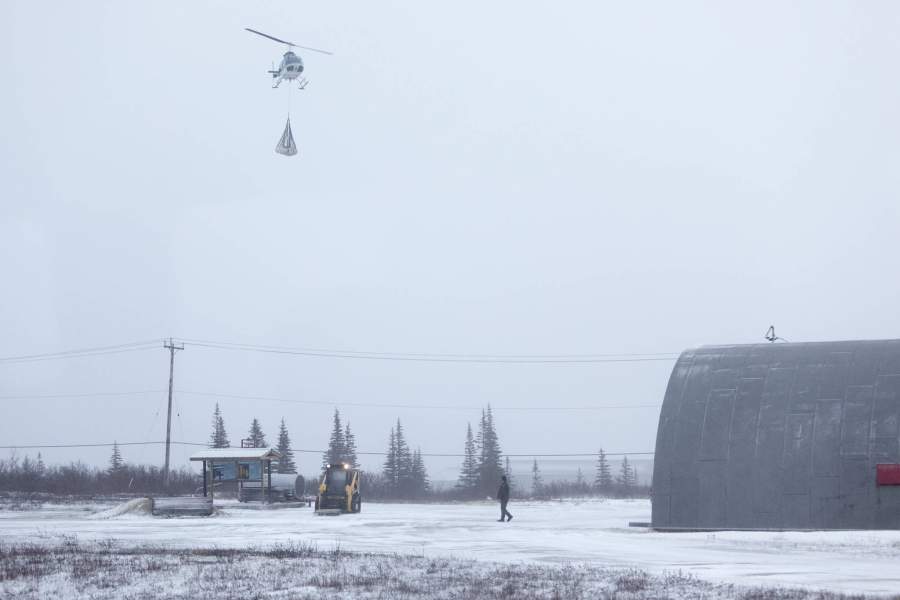 Мировая столица полярных медведей - городок Черчилл