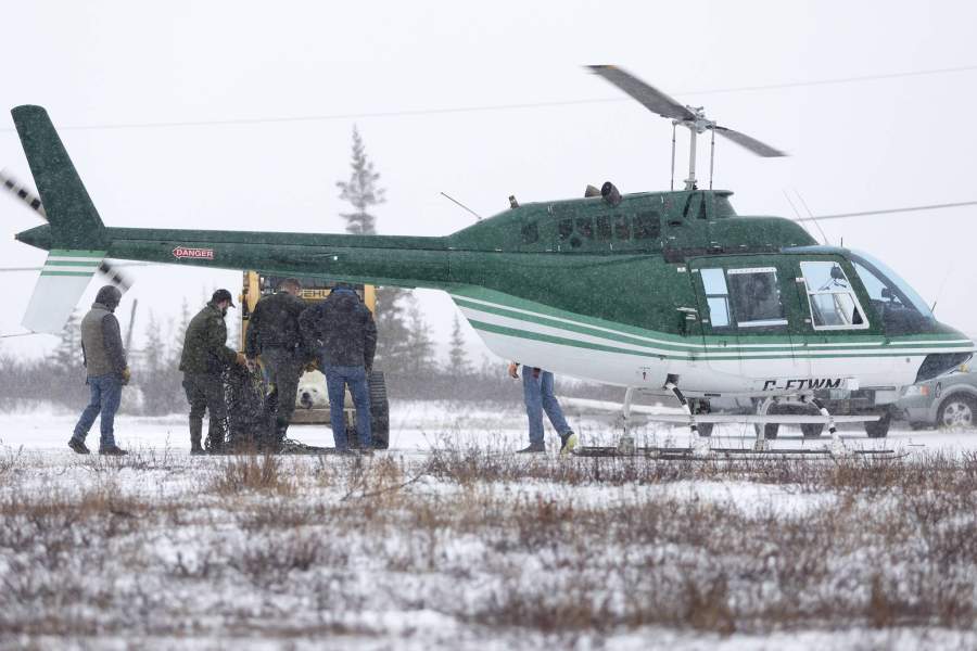 Мировая столица полярных медведей - городок Черчилл