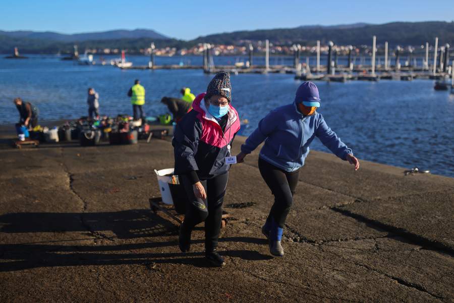 Как трудятся собирательницы моллюсков в Галисии