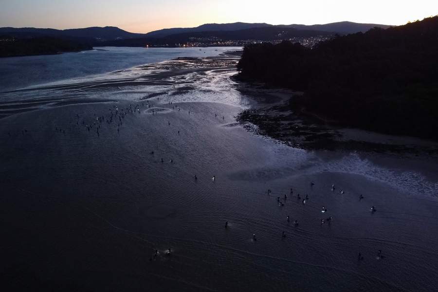 Как трудятся собирательницы моллюсков в Галисии